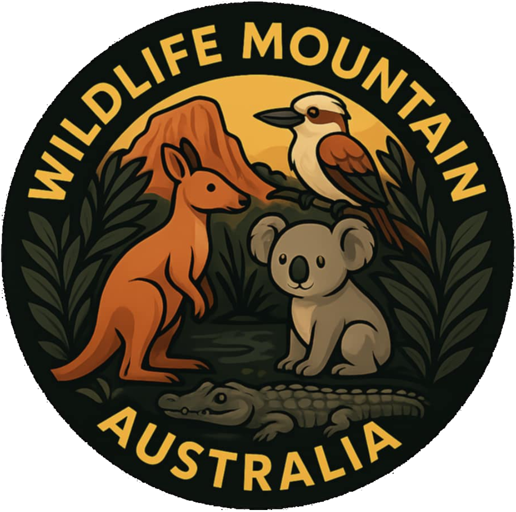 Lyrebirds wildlife mountain australia